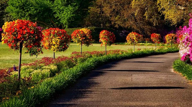 Plantez vos arbres et arbustes en automne