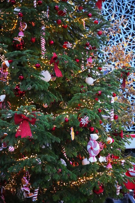 Nos sapins naturels sont arrivés