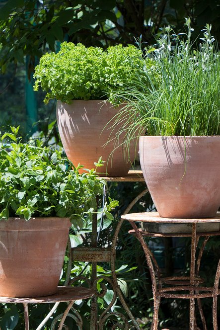 Nos gammes de pots & cache-pots

 